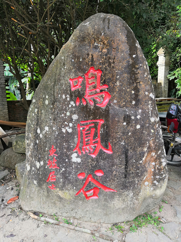 印象尖峰嶺鳴鳳雨林谷2019海南自駕遊之四