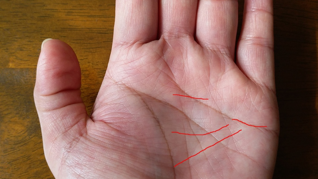 相学秘籍之看手相月角阴纹掌靠女人发财的手相