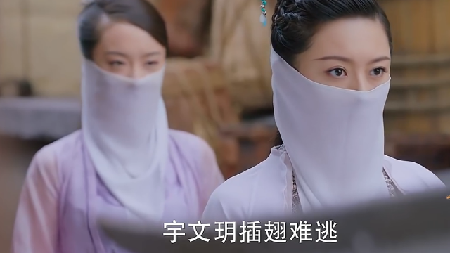 楚乔传桃叶姬你也太狠了吧这样对待自己的笔友真的好吗