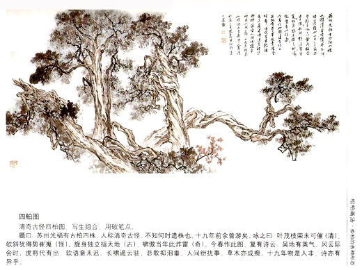 中国画技之松柏画法 三