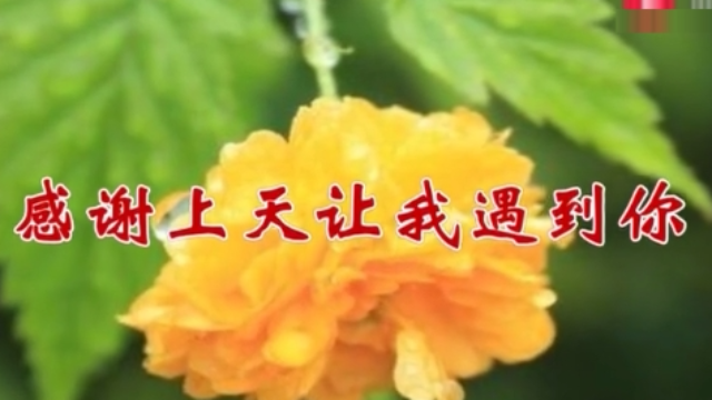 一首感谢上天让我遇到你好听到醉送给相知相爱的