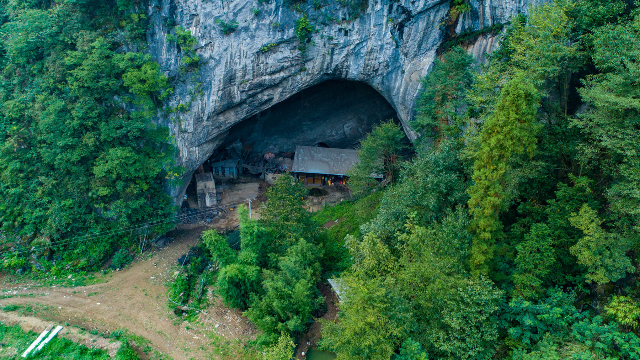 贵州发现一个山洞住有人家祖辈五代人隐居山洞吃野菜