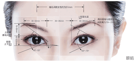 双眼皮的形成原理你知道吗结合解剖美学为您解读双眼皮的结构及原理_凤凰网健康_凤凰网