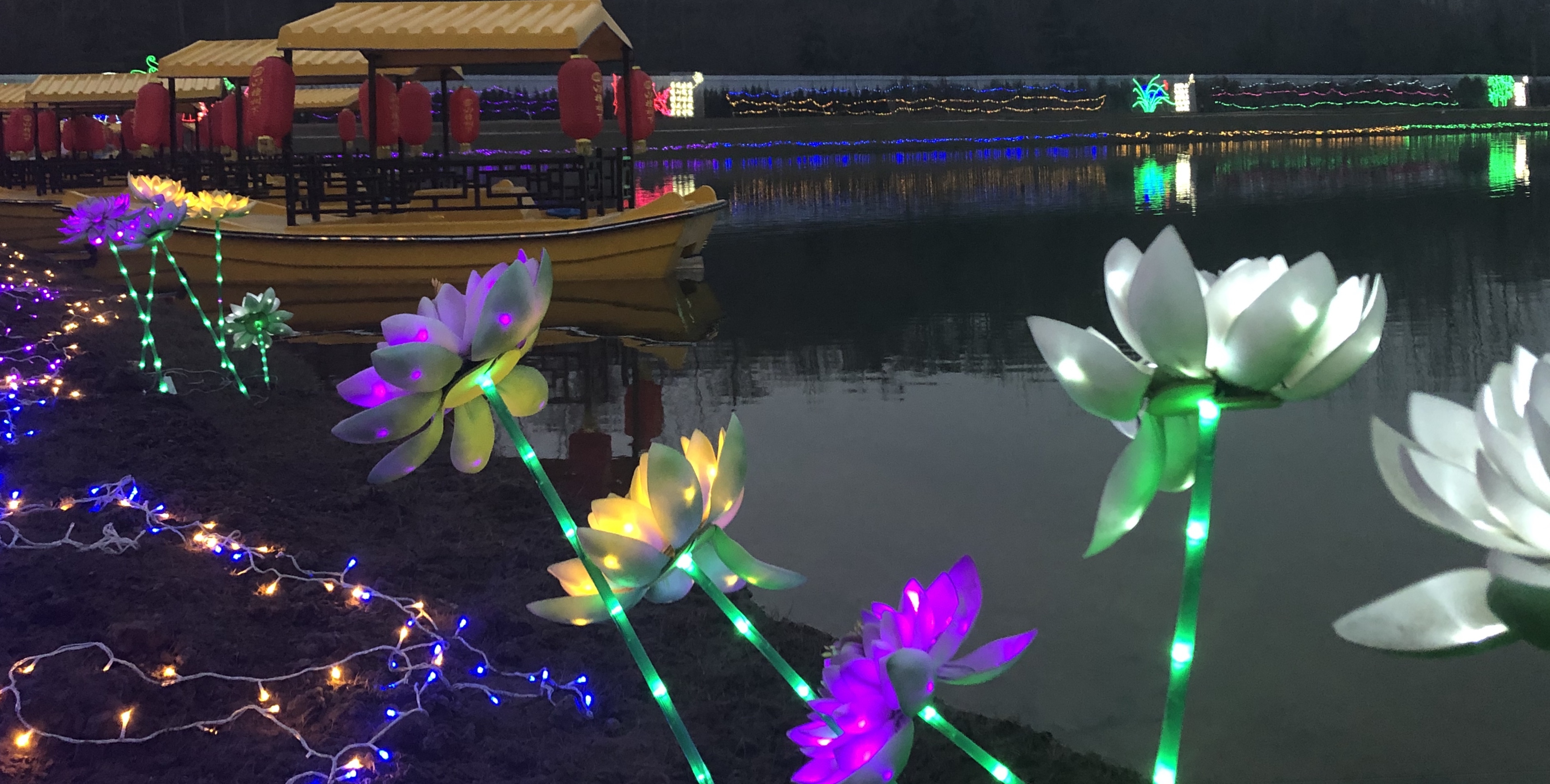 夜游善园古镇酒庄美色