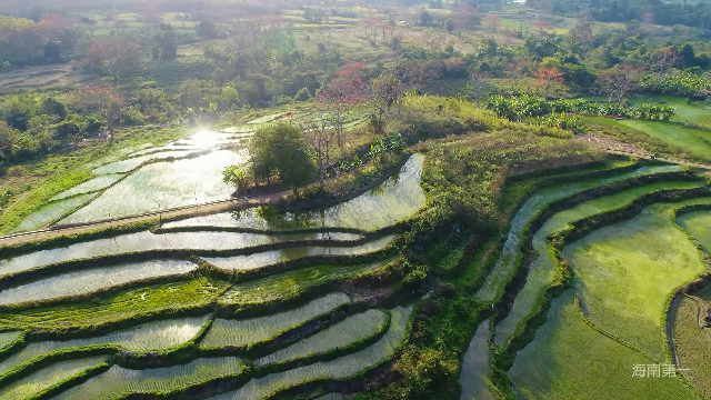 昌江宝山梯田图片