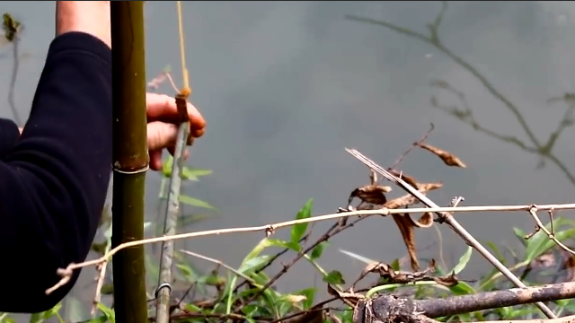 七旬老人發明自動釣魚神器,百發百中,厲害_鳳凰網視頻_鳳凰網