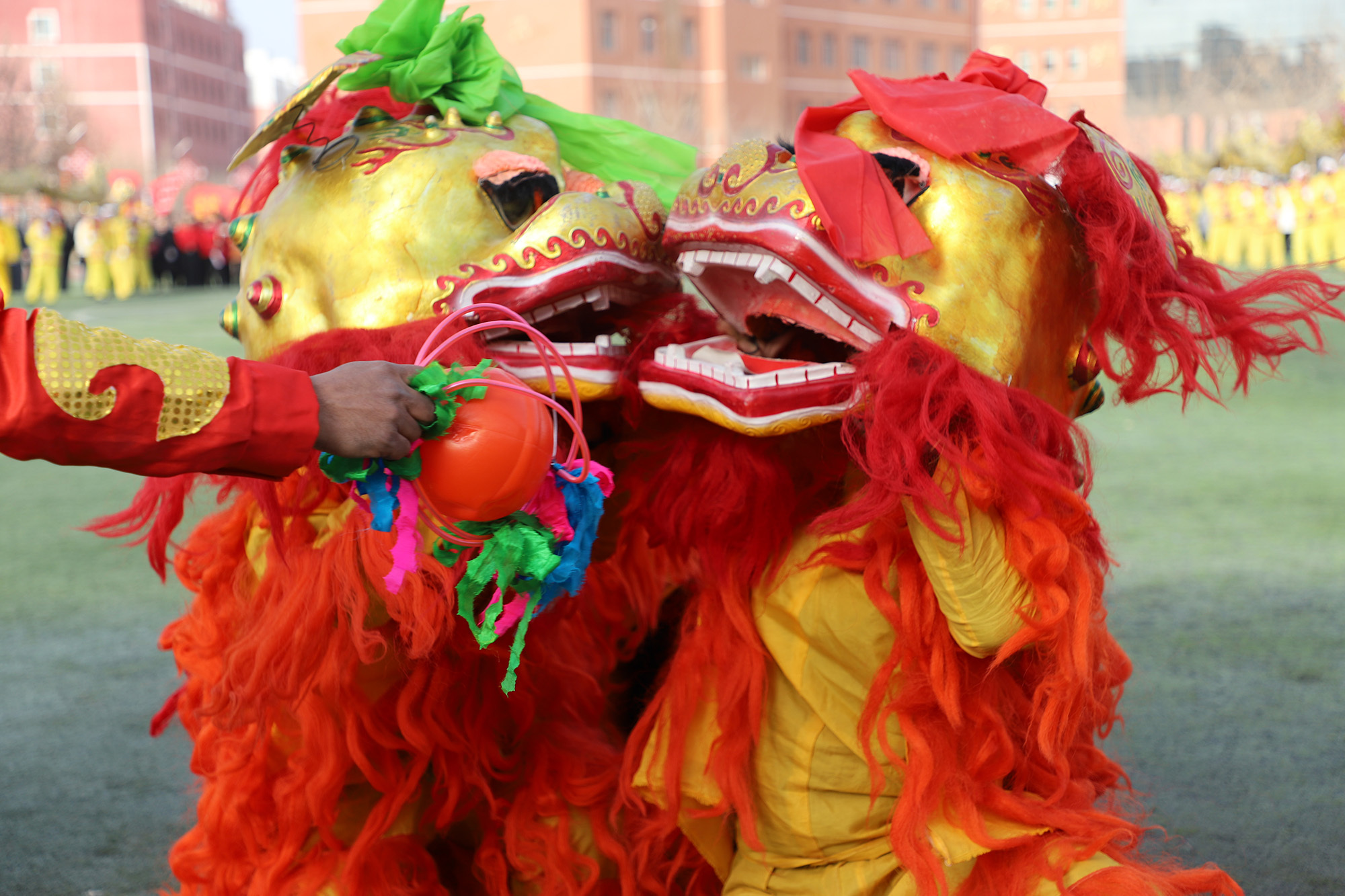 新疆叶城县各族儿女欢天喜地闹社火__凤凰网