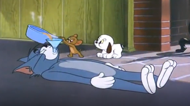 猫和老鼠三只小猫把汤姆和杰瑞整惨了两人合作反击战