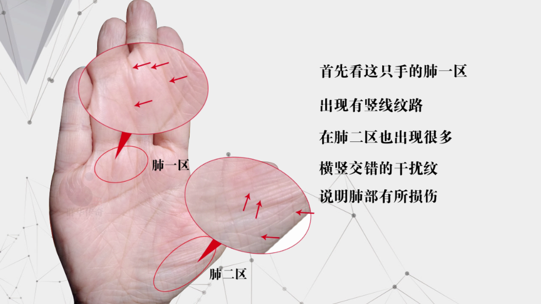 如何看出 关于呼吸系统的掌纹和对应的问题 看掌纹分析顾客5