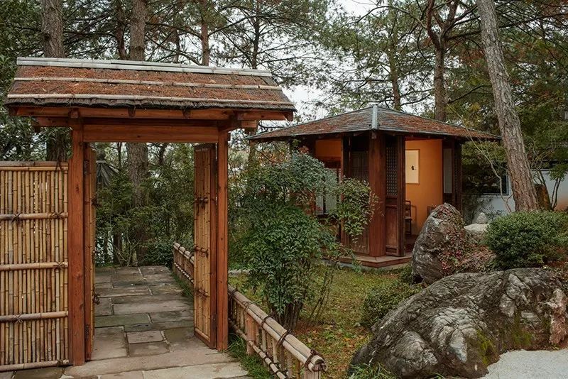 小院坐落在一个山坡上,推门而入,茂密的古松迎面而来,正对面灰瓦白墙