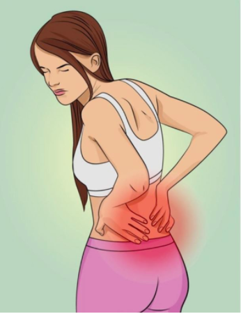 以及臀肌的松弛,背部竖脊肌紧张,我们所说的"腰肌劳损"也就来了