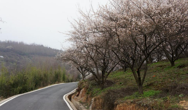 第一天:成都——大邑县——雾山乡—大坪村住农家乐(休闲) 第二天