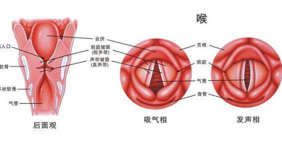 咽部异物感,咽部不适,疼痛多年,伴有口水多,有时咳嗽加重1月来诊