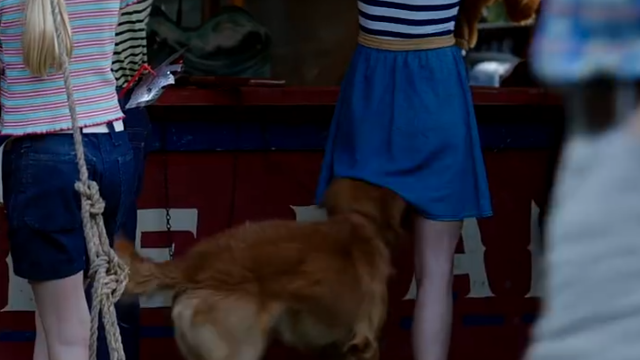 为了给主人找女朋友狗狗居然钻进女孩裙子里真成精了