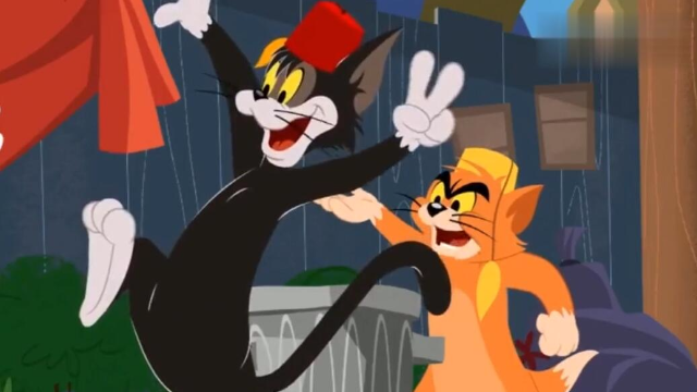 猫和老鼠汤姆和流浪猫竞选猫老大谁能抓到杰瑞就当老