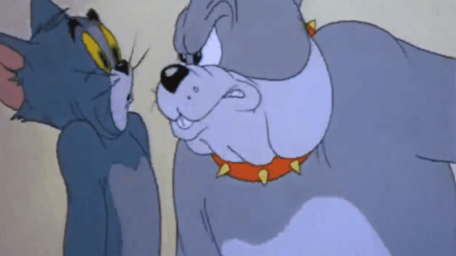 斯派克和汤姆竟这样相处我看花了吧