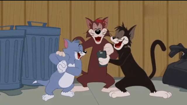 新猫和老鼠滑稽的汤姆彻底出名野猫教他捉弄杰瑞反被戏耍了