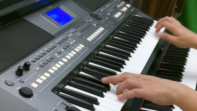 电子琴dj沙漠骆驼