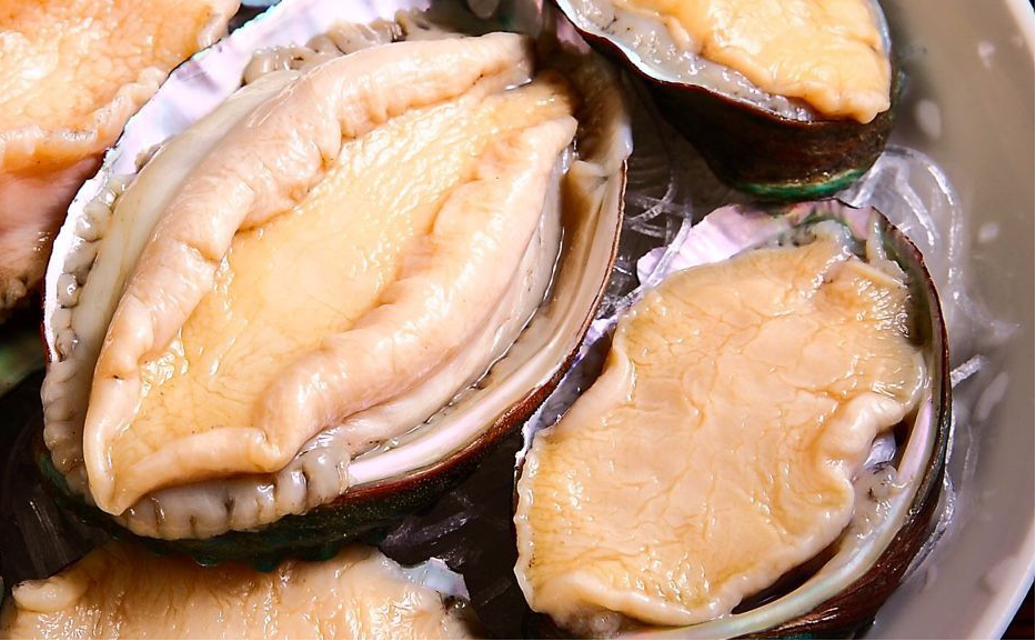 鲍鱼的平民做法毫不逊色于高级厨子的手艺