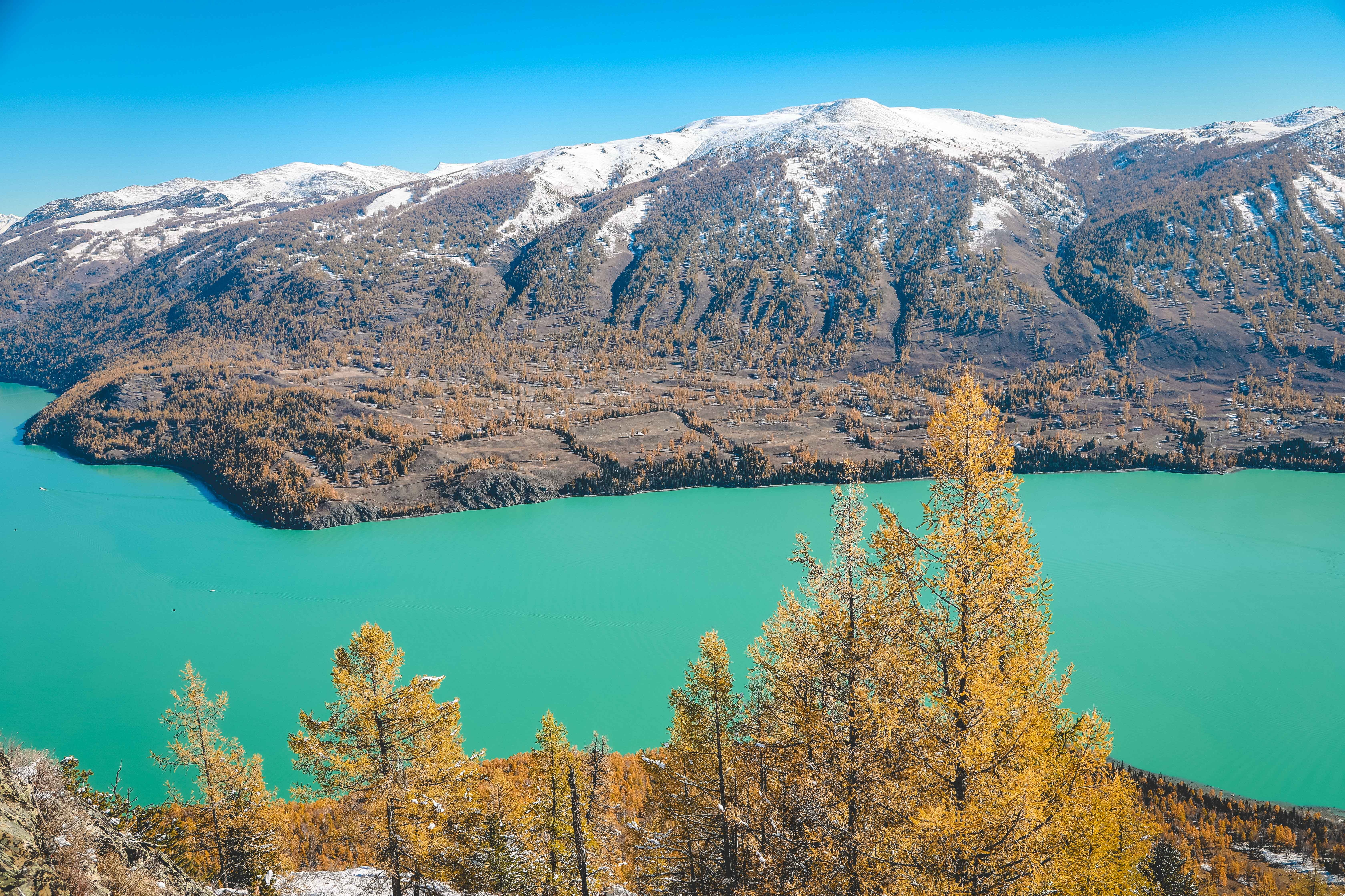 秋天喀纳斯到底有多美?这篇文章告诉你