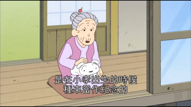 蜡笔小新第五季得了老年痴呆的奶奶始终没忘记陪伴自己的狗狗