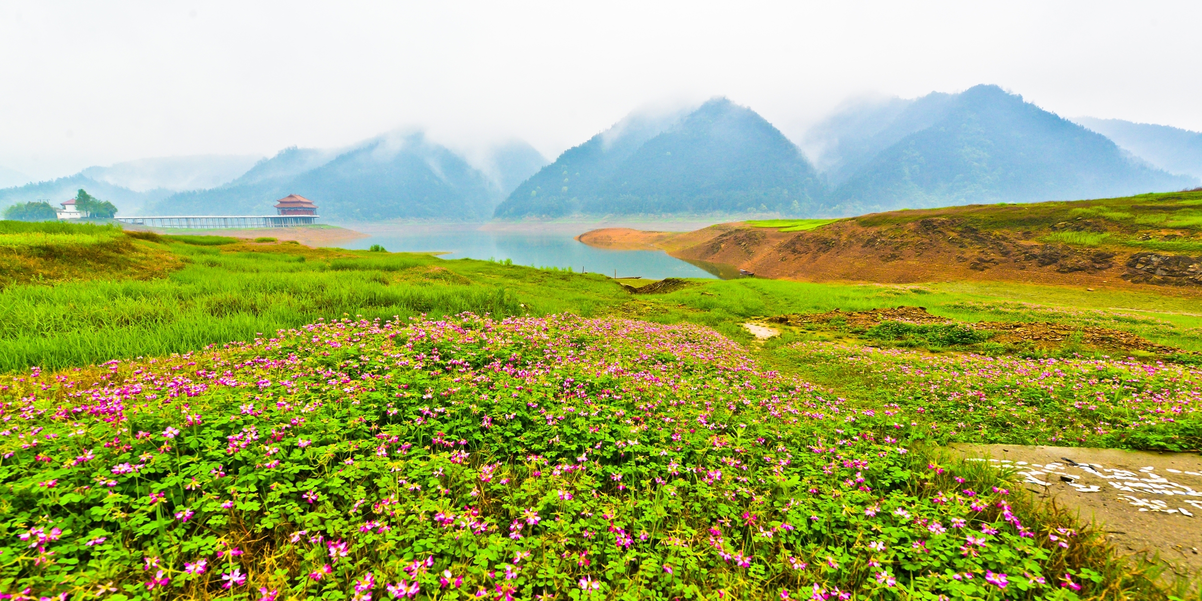 永州故事▏三圣湖藏于山野的璞玉女子草籽花开得耀眼疯狂