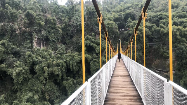 到川西竹海峽谷看霧走吊橋驚險的玻璃棧道