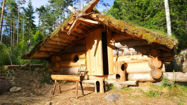 独自一人丛林建造木屋如果自己能拥有一间那该多么美好