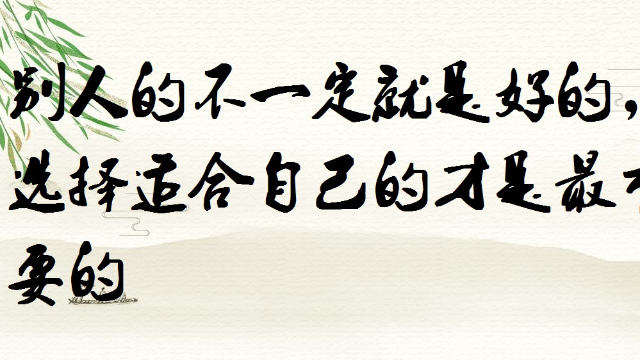 别人的不一定就是好的,选择适合自己的才是最重要的