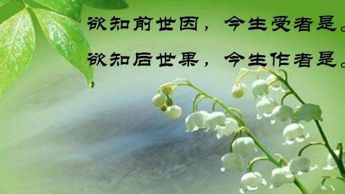 因与果的关系被佛教视为构建宇宙人生的最重要的关系,《杂阿含经》卷