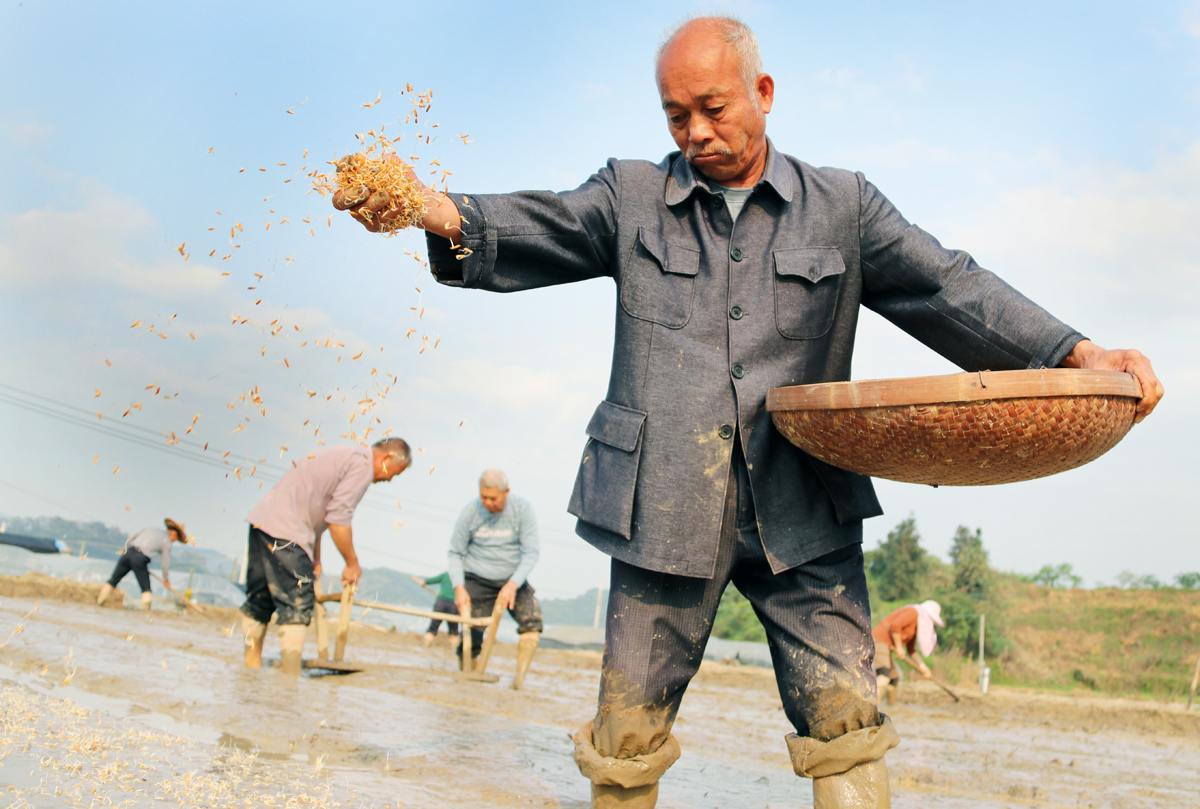 福建龙海:农民播种忙__凤凰网