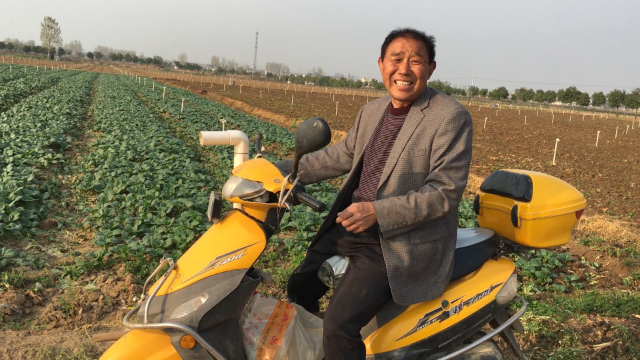 农村3位老板承包1000亩地种啥?一年收入几百万,是真的吗