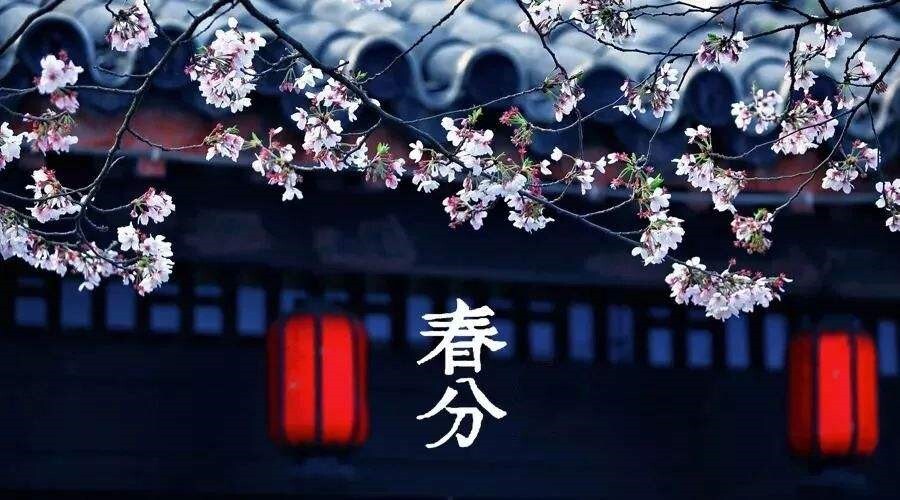 春分至愿君莫负好时光