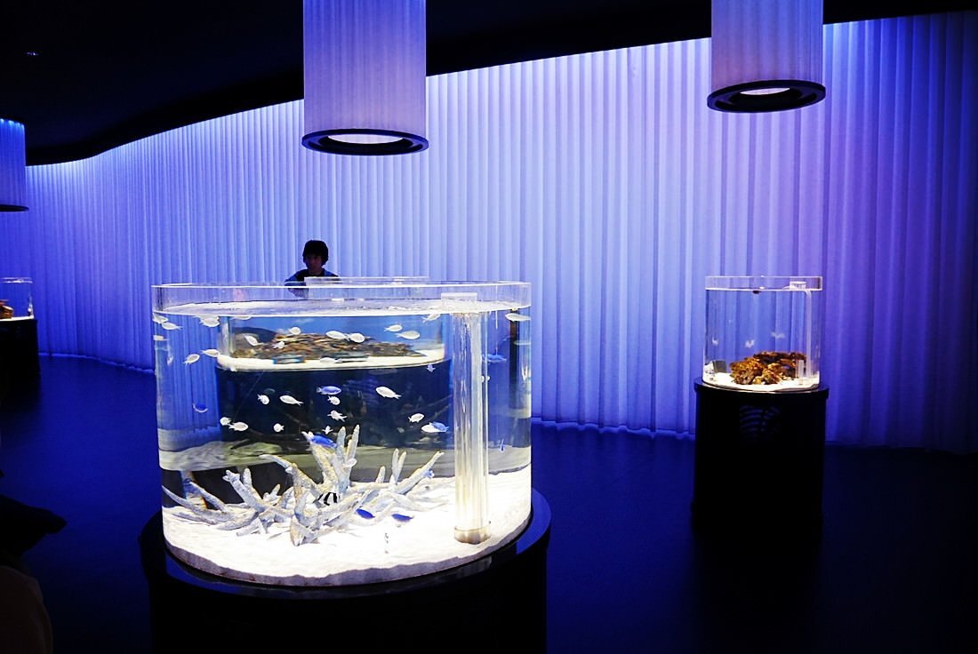 大阪海洋博物馆图片