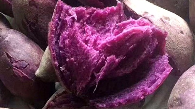 紫薯到底是不是转基因食品看完才知道被骗了20多年