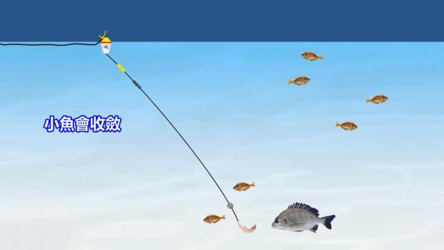 矶钓钓组中咬铅的运用下沉速度钓组张开速度