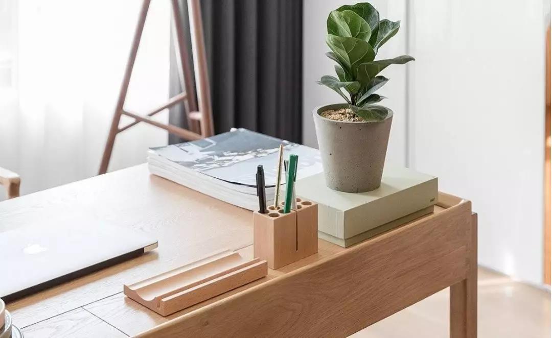 室内绿植这样摆,立马让家变小清新!