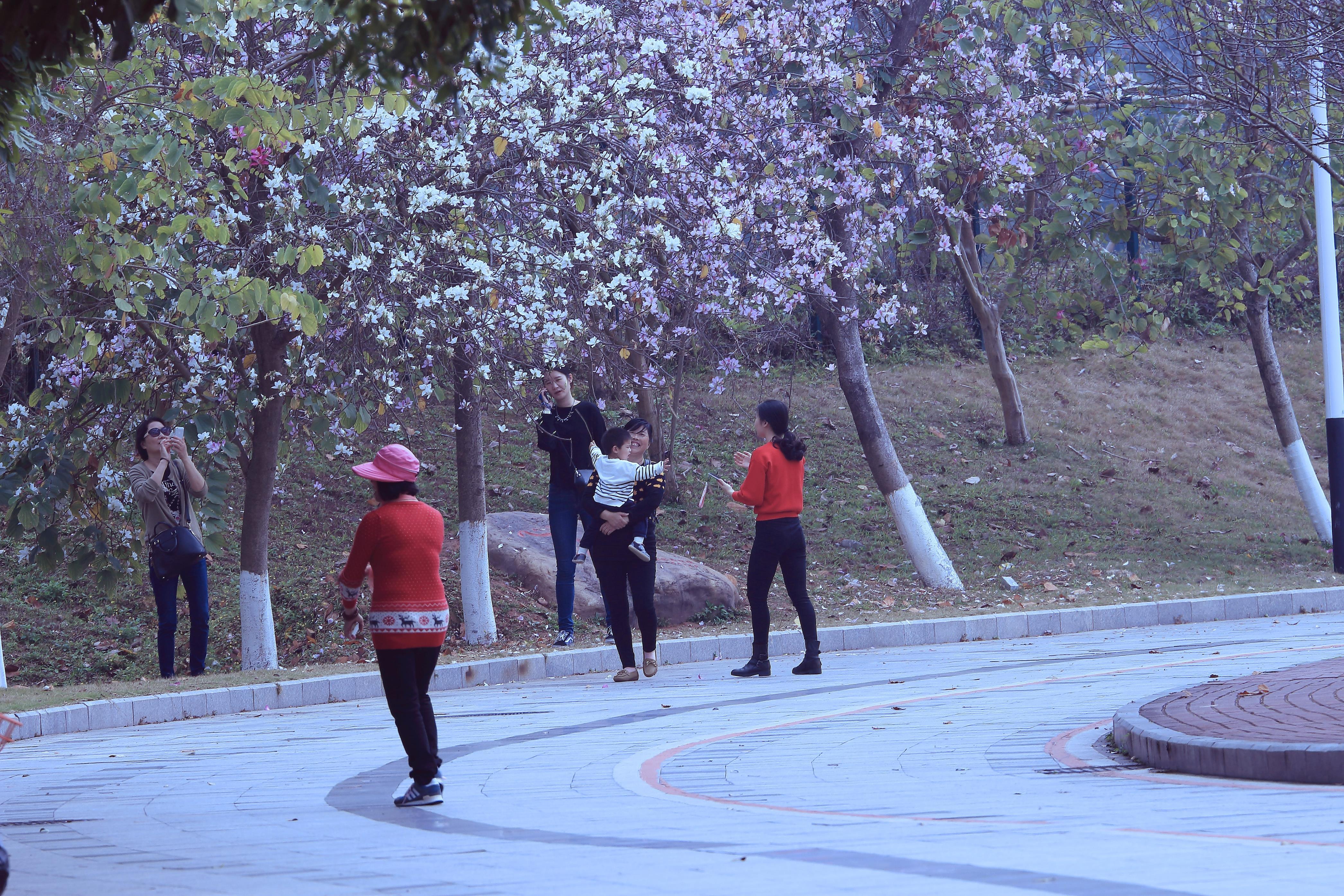 图看东莞南城蛤地小道