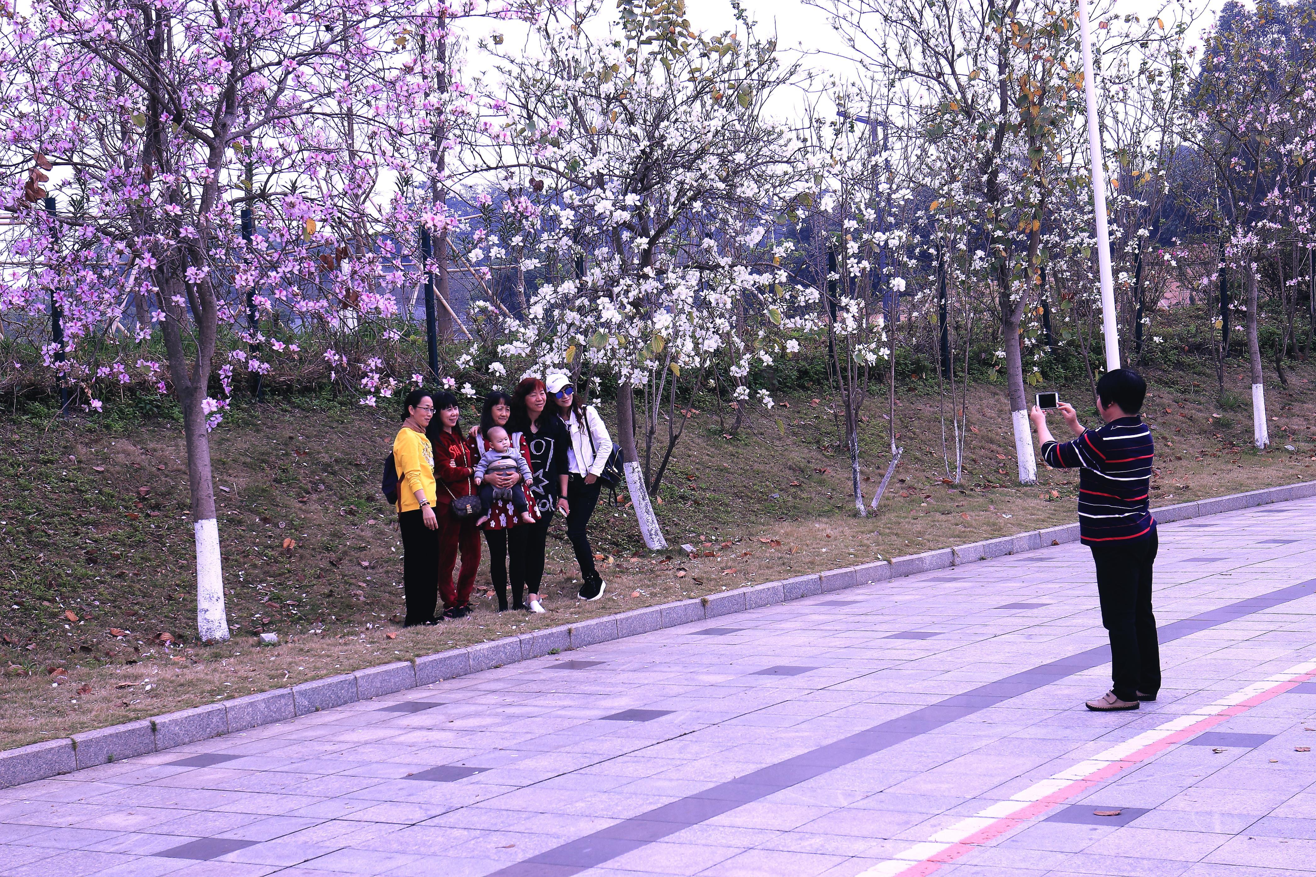 图看东莞南城蛤地小道