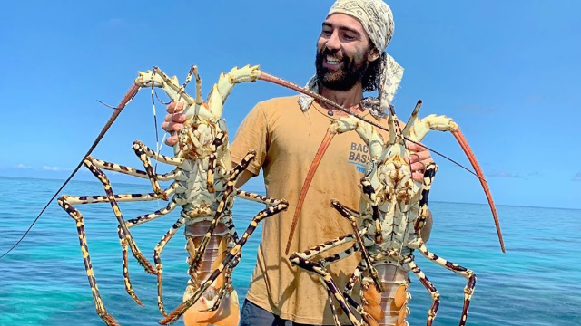 潜入海底徒手捕大龙虾,一只就有好几斤,这吃法实在太土豪了!