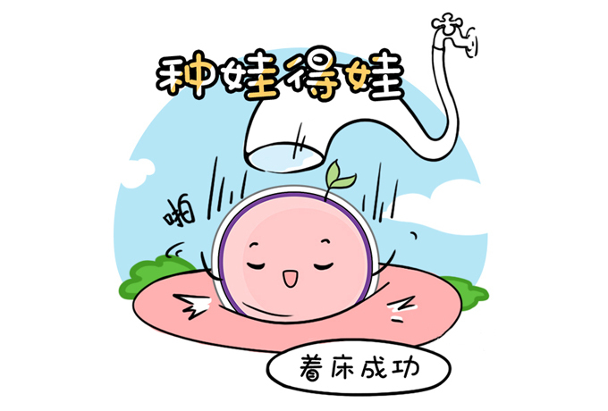 试管婴儿移植后成功着床有什么反应和感觉