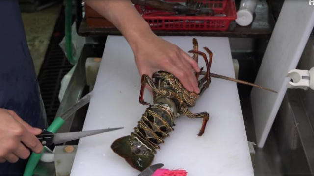 奥龙也就是我们的俗称大龙虾鲜活的生吃占着酱料味道安逸