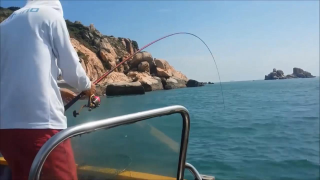 釣魚人磯竿中黃立倉,魚竿彎如弓,溜魚真過癮