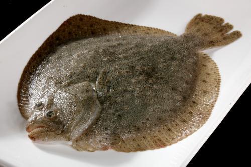 韩国"多宝鱼"新鲜吃法,你见过没?