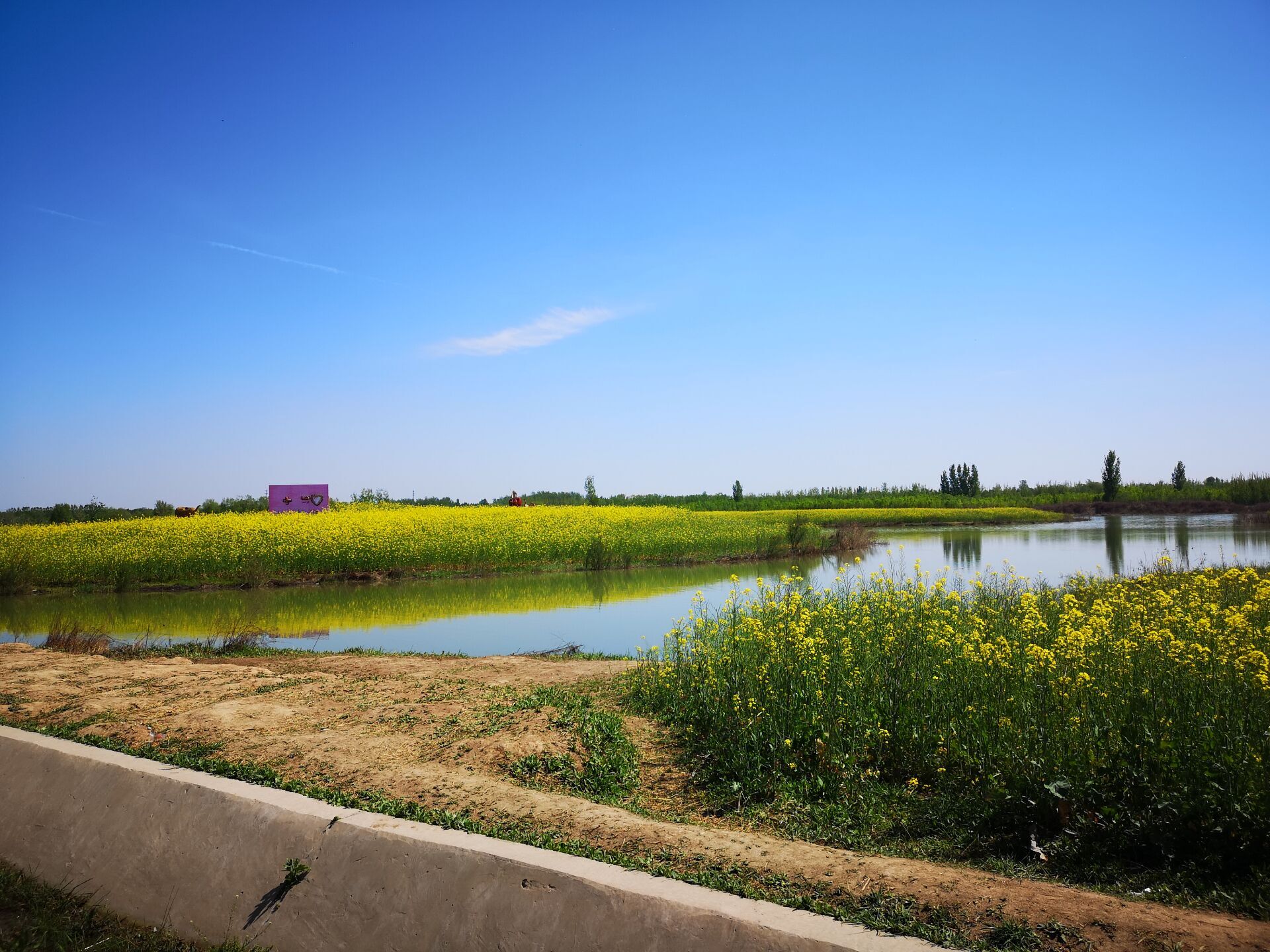 陈桥湿地公园半日游这里紧邻黄河大堤对岸就是古都开封
