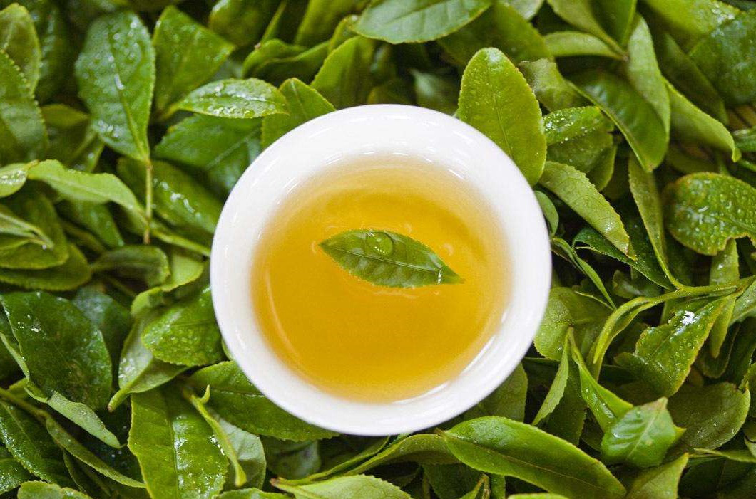 用紫砂壶泡茶,投茶量与水温等技巧得清楚