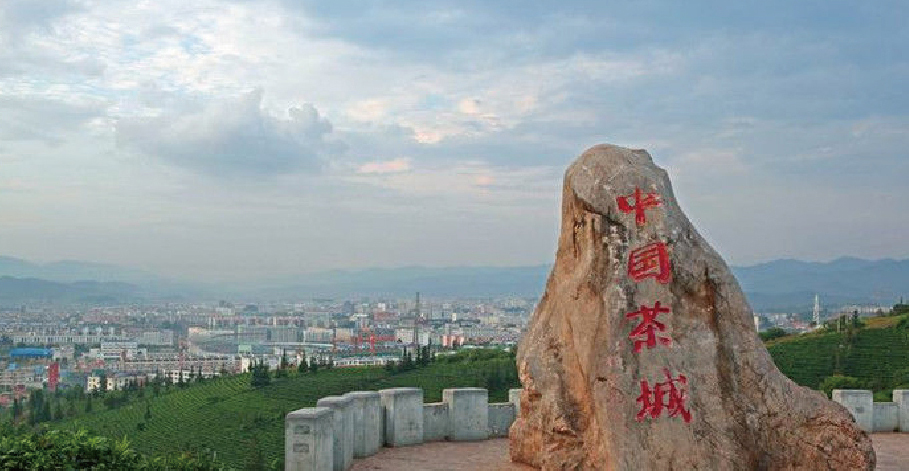 普洱茶小镇 | 城市ip,唱响世界