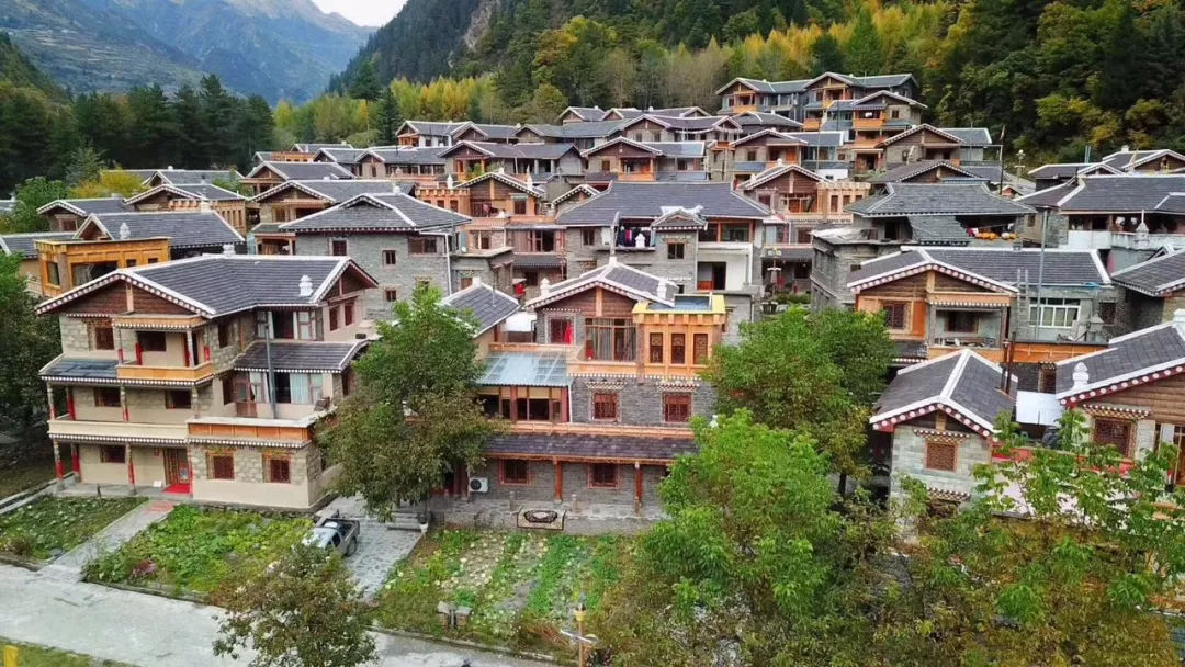 四川黑水达古冰川五月杜鹃花开了,可以一边玩雪一边赏花.很美