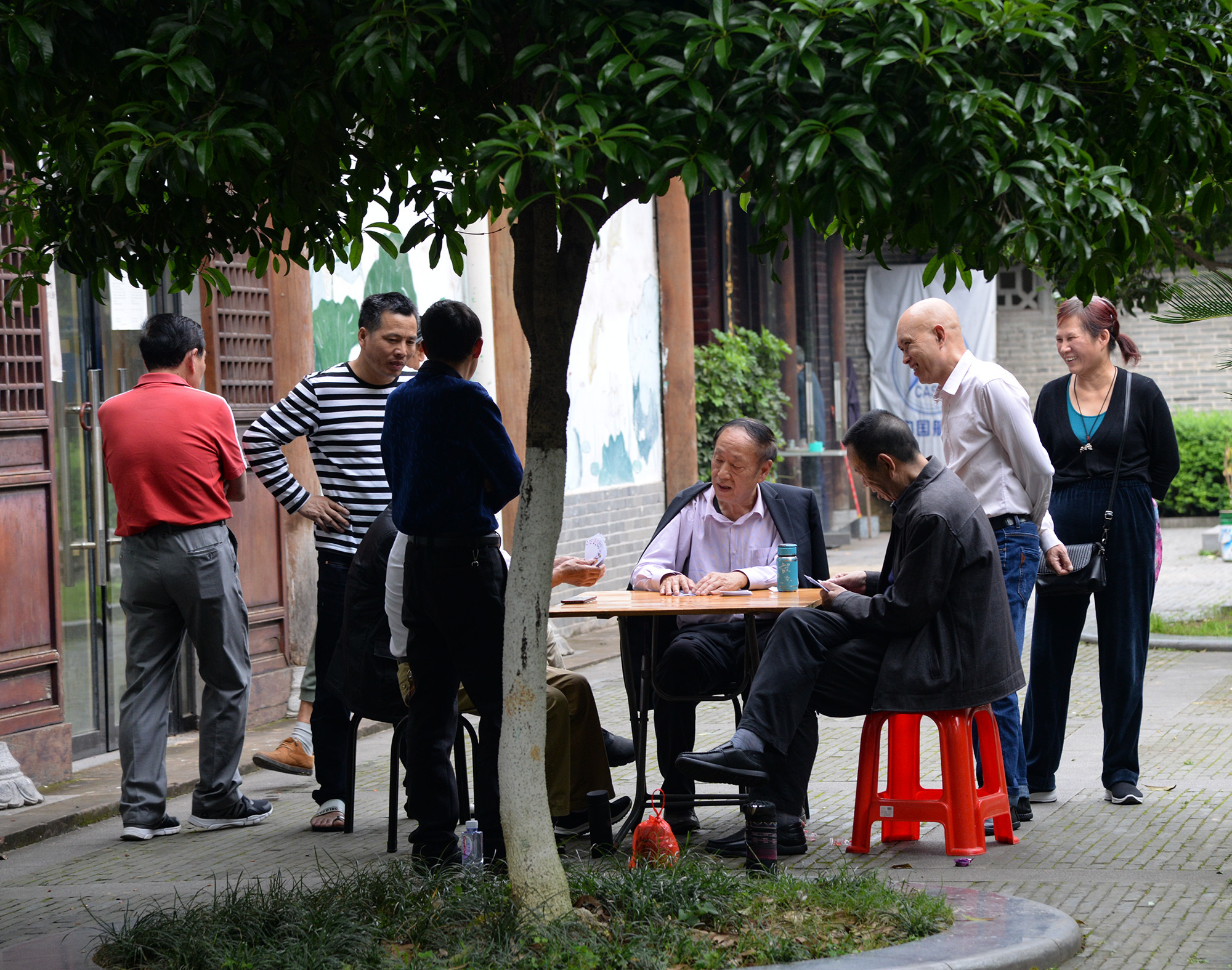 實拍贛州公園的大爺大媽們下棋唱歌廣場舞孤獨是一群人的狂歡