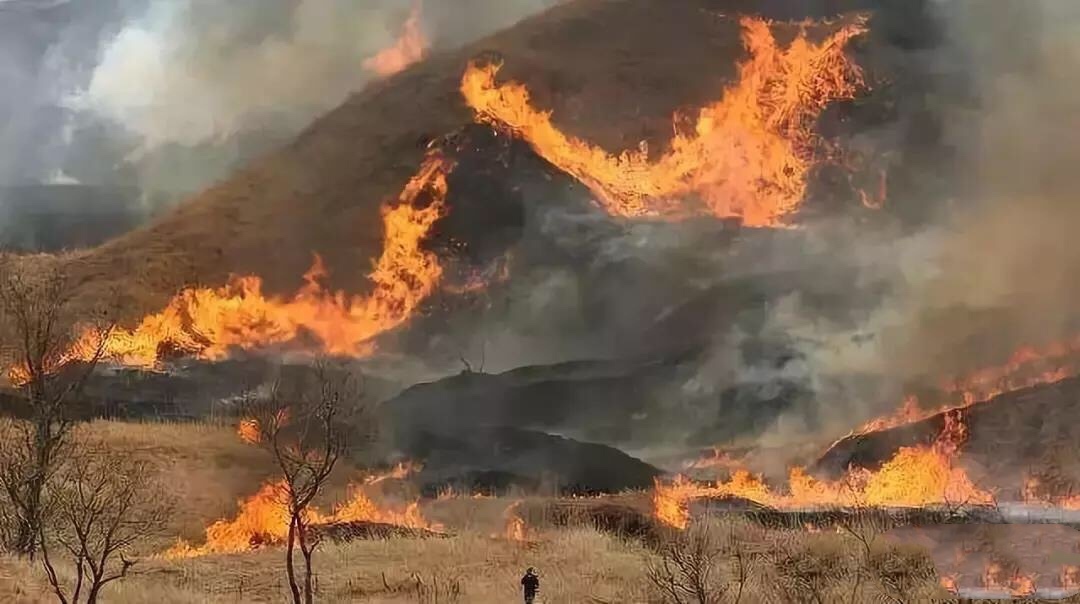 森林火灾熄灭图片